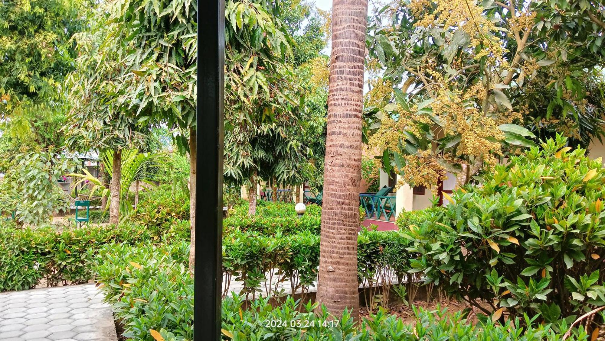 Hotel Butterfly - Peaceful Garden For Nature Lovers Sauraha Exteriör bild