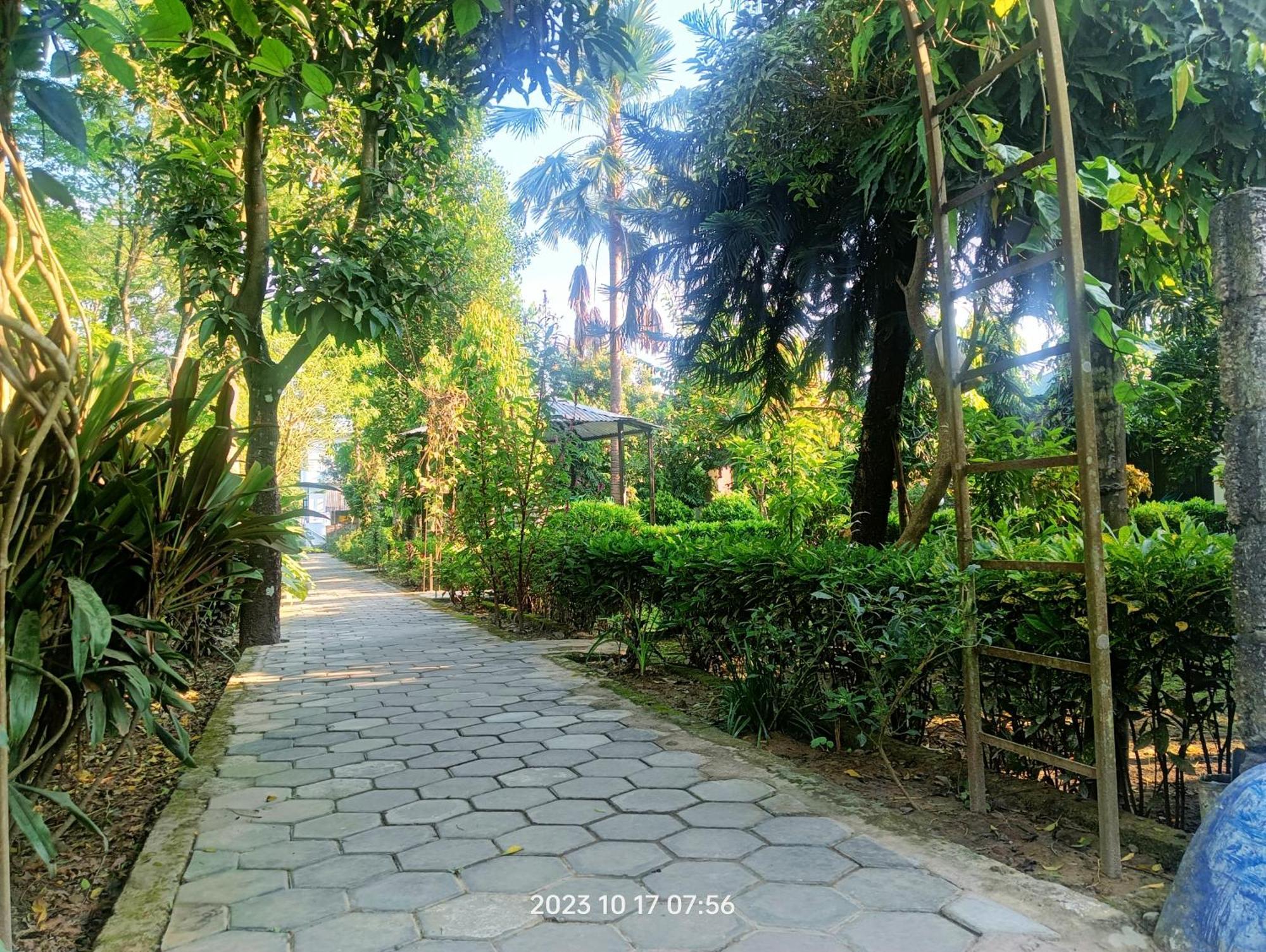 Hotel Butterfly - Peaceful Garden For Nature Lovers Sauraha Exteriör bild