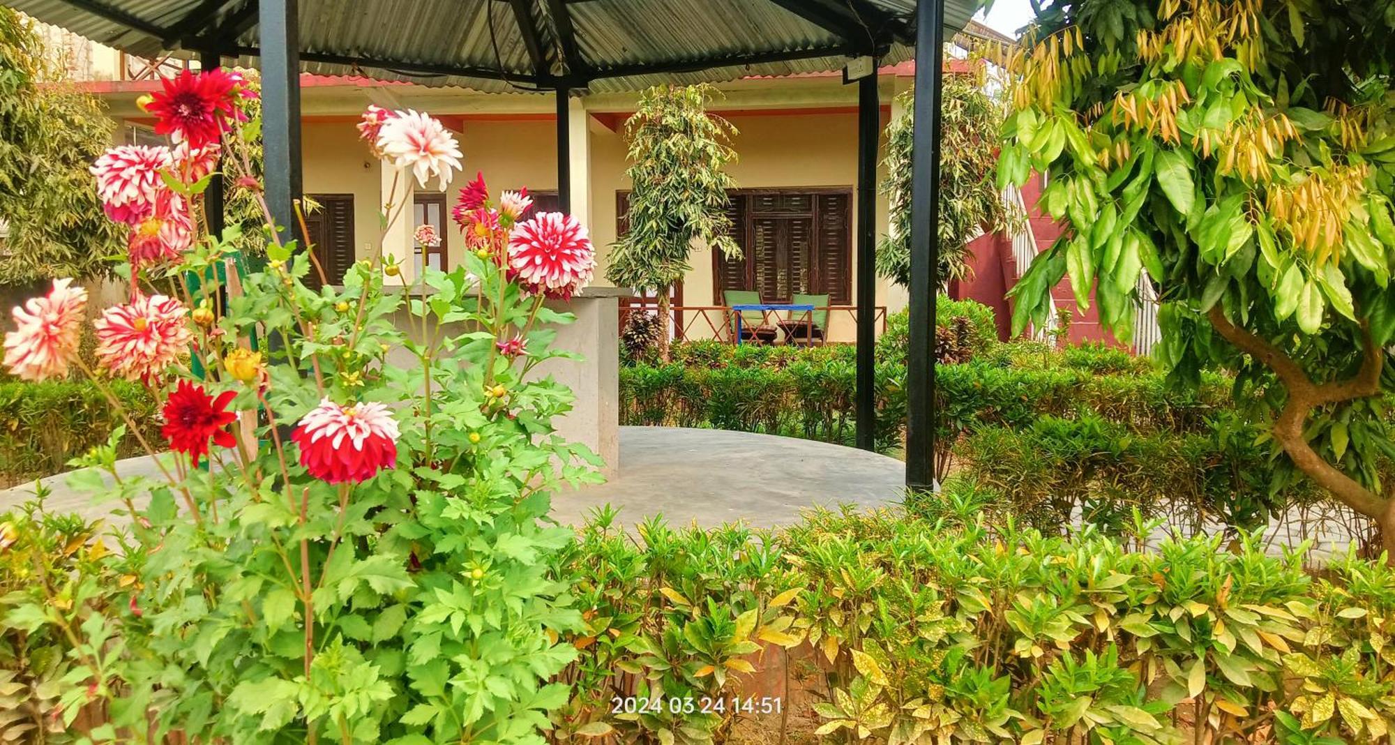 Hotel Butterfly - Peaceful Garden For Nature Lovers Sauraha Exteriör bild