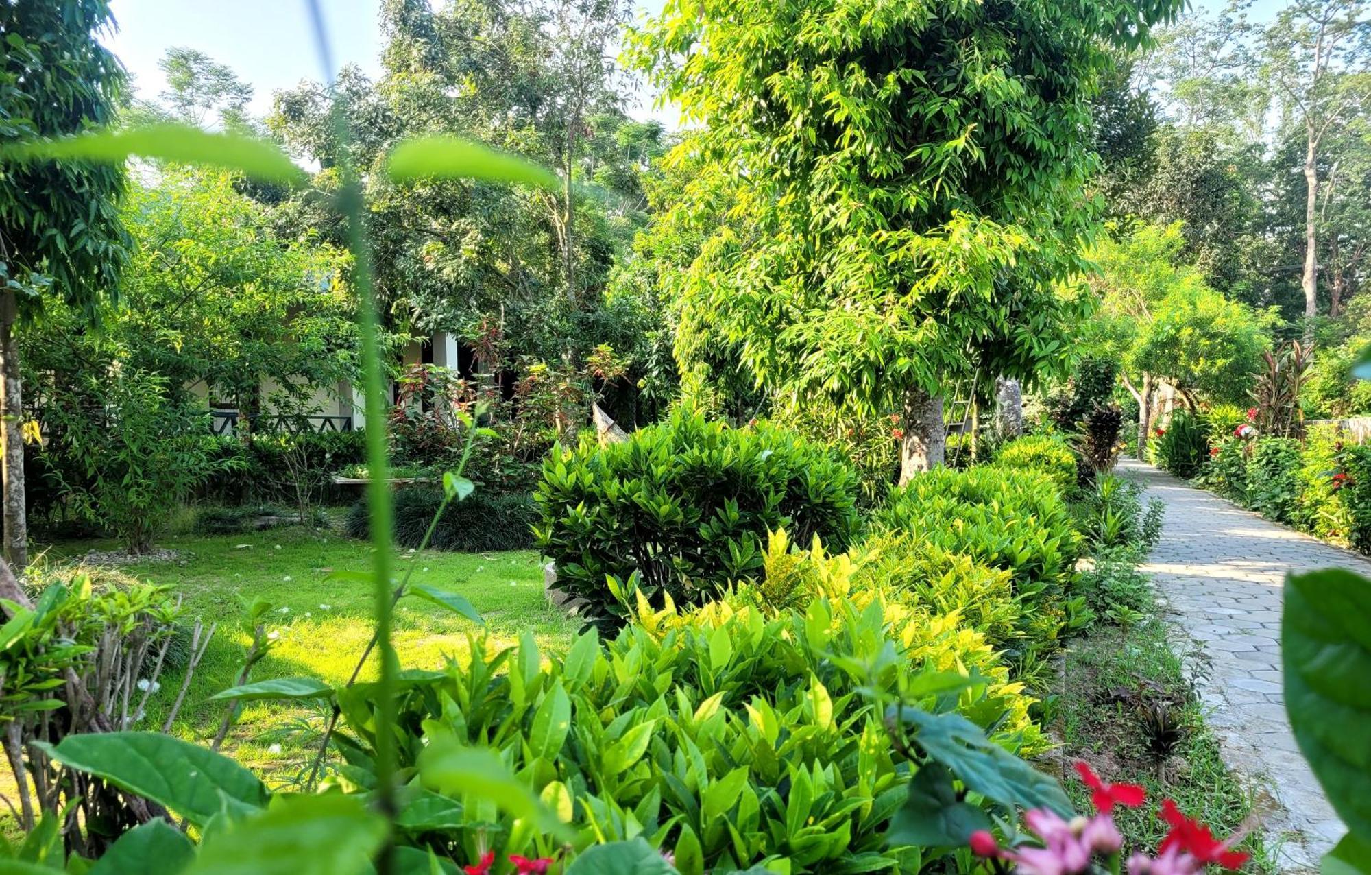 Hotel Butterfly - Peaceful Garden For Nature Lovers Sauraha Exteriör bild